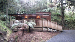 Wonderforest 2 Bedroom Tiny house Ruapehu Unique Stays